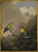 Martin Johnson Heade Two Humming Birds France oil painting artist